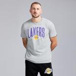 NBA Los Angeles Lakers Men's Graphic T-Shirt - Grey