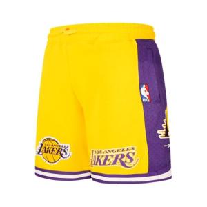 Pro Standard Big Boys NBA Classic Fleece Shorts