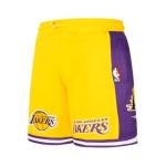 Pro Standard Big Boys NBA Classic Fleece Shorts
