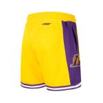 Pro Standard Big Boys NBA Classic Fleece Shorts