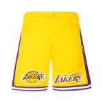 Pro Standard Big Boys NBA Classic Fleece Shorts