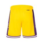 Pro Standard Big Boys NBA Classic Fleece Shorts