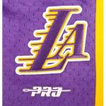 Pro Standard Big Boys NBA Classic Fleece Shorts