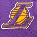 Pro Standard Big Boys NBA Classic Fleece Shorts