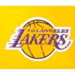 Pro Standard Big Boys NBA Classic Fleece Shorts