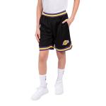 LA Lakers Boys' Knit Basketball Training Shorts