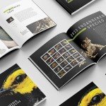 Endangered Species Collector's Stamp Set - USA