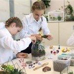 Fairy Garden Accessories Set - 100 Miniature Figures