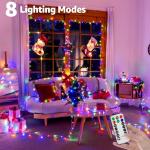 Ccinny 1000 LED Christmas Lights with Remote