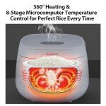 Joydeem Ceramic Rice Cooker FD20S-W, 4 Cups Uncooked Rice Cookers with Pure Ceramic Inner Pot, 24h Dealy Start, 2L, White