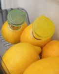YZC Lemon Squeezer – 2-Pack Lemon-Juicer – BPA-Free Plastic Lime Juicer– Compact Juice Extractor Citrus Press with Lid – Squeeze Lime for Cocktails, Drinks