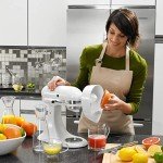 KitchenAid Citrus Juicer Attachment - JE