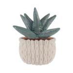 Apricot Lamb Aloe Plant Plush Toy for Kids