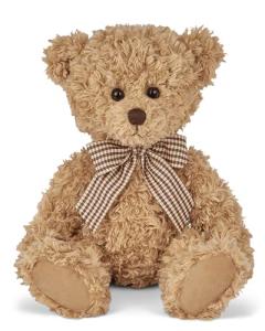 Theodore 17" Soft Teddy Bear Plush Toy