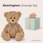 Theodore 17" Soft Teddy Bear Plush Toy