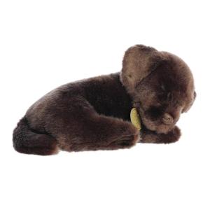 Aurora® Sleepy Chocolate Lab Pup Stuffed Animal