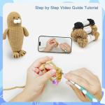 Beginner Amigurumi Crochet Kit - Hugging Seal Plushie