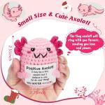 Mini Handmade Crochet Axolotl Plush Gift