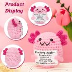 Mini Handmade Crochet Axolotl Plush Gift