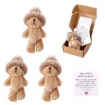 Mini Plush Worry Bear with Hat and Card