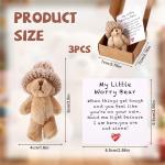 Mini Plush Worry Bear with Hat and Card