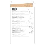 Plush Dinosaur Sewing Pattern Packet, Design S9585