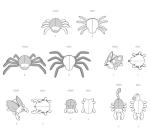 Plush Bugs Sewing Pattern by Carla Reiss