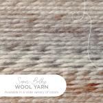 Soft and Bulky Lion Brand Yarn in Fossil