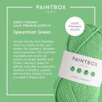 Spearmint Green Chunky Acrylic Yarn - 149 Yards