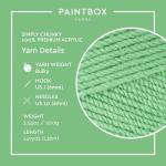 Spearmint Green Chunky Acrylic Yarn - 149 Yards