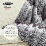 Bernat Blanket Eggplant Ombre Yarn - 2 Pack