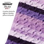 Bernat Blanket Eggplant Ombre Yarn - 2 Pack