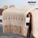 Bernat Blanket Yarn Purple Sunset 2 Pack