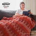 Bernat Blanket Eggplant Ombre Yarn - 2 Pack