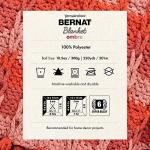 Bernat Blanket Eggplant Ombre Yarn - 2 Pack