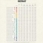 Bernat Super Bulky Chenille Yarn 2-Pack