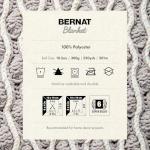 Bernat Super Bulky Chenille Yarn 2-Pack