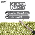 Bernat Maker JAM Yarn 2-Pack for Crafts
