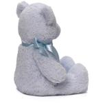 GUND My First Teddy Bear Plush Toy, Blue