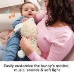 Fisher-Price Baby Soothe & Settle Bunny Plush Toy