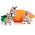 Interactive Squeaky Hide and Seek Dog Toy