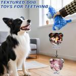 Squeaky Plush Dog Toy - Blue Hippo