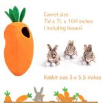 Interactive Squeaky Hide and Seek Dog Toy