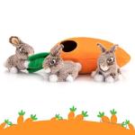 Interactive Squeaky Hide and Seek Dog Toy