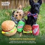 Huxley & Kent Dr. Pooper Squeaky Dog Toy