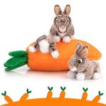 Interactive Squeaky Hide and Seek Dog Toy