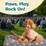 Cute Acoustic Guitar Dog Toy with Squeaker