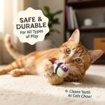 Woolbuddy Sushi Cat Toy Set – 9 Cute Toys