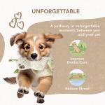 Eco-Friendly Squeaky Dog Toy for Happy Pets