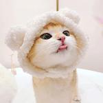 Cute Cat Costume Hat for Small Pets